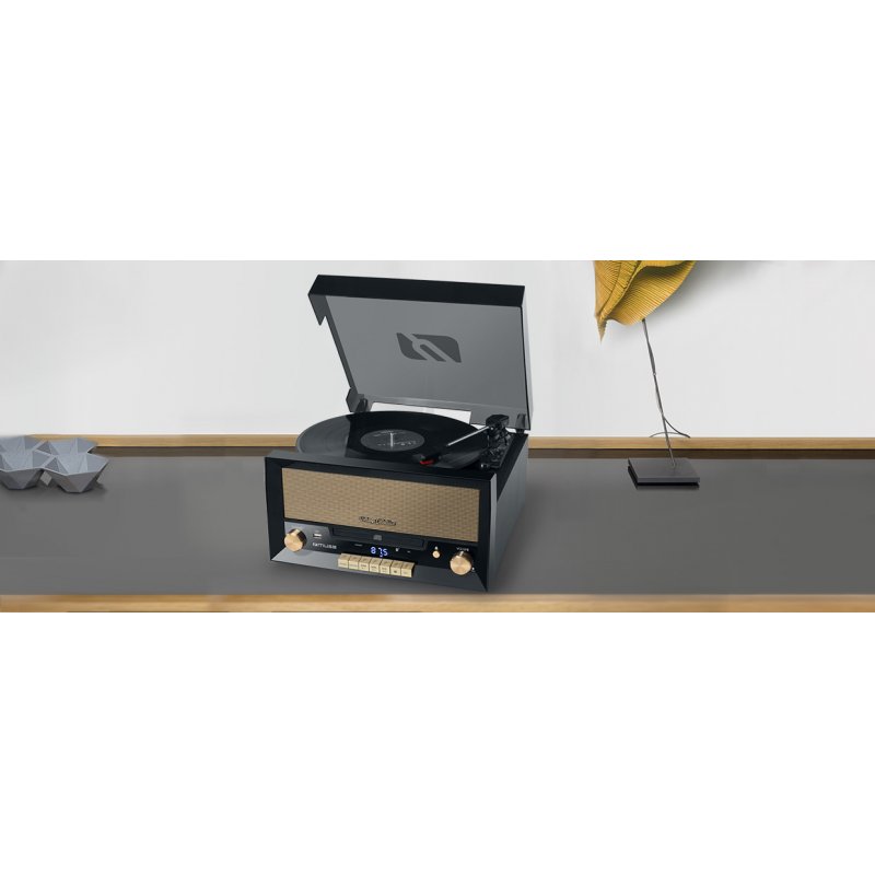 Système stéréo tourne-disque MT110B