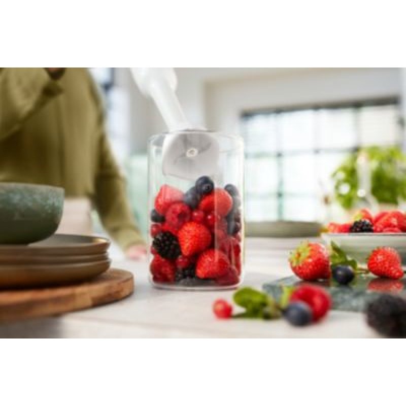 Philips 3000 series HR2520/00 blender Immersion blender 400 W White