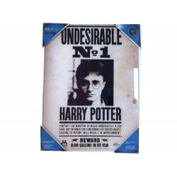 HARRY POTTER - Impression en Verre - Undesirable N°1 - 30X40 Cm