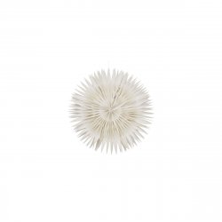 House Doctor - Star - White - dia: 40 cm