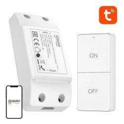 Gosund SW20 10A WiFi Smart Switch Remote Control, Tuya