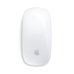 MAGIC MOUSE WH-INT