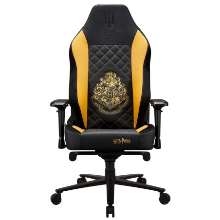 Apollon Collector / Hp Hogwarts Black seat gold