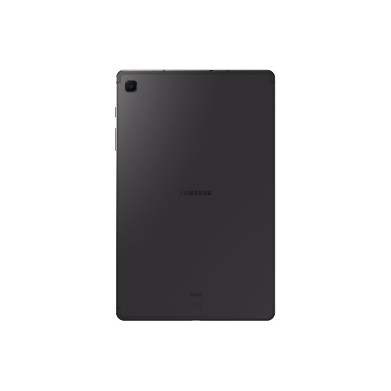 Samsung Galaxy Tab S6 Lite SM-P613N Qualcomm Snapdragon 64 Go 26,4 cm (10.4") 4 Go Wi-Fi 5 (802.11ac) Android 12 Gris