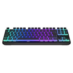 Keyboard Endorfy Thock TKL Wireless