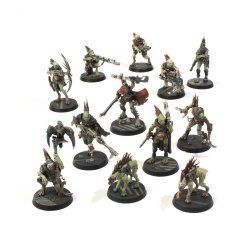 Warhammer 40k - Kill Team : Exorodeurs Kroots (2024)