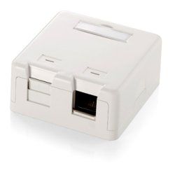 Equip 2-Port Keystone Jack Surface Mount Box