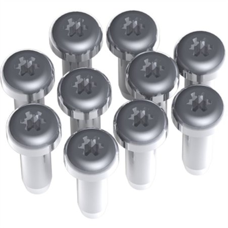 BACHMANN Vis TORX T6 inox par 10