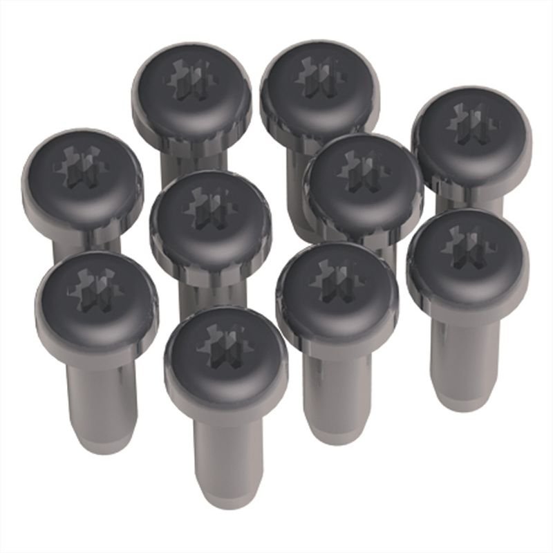 Bach Torx T6 Schrauben Inhalt: 10 Stk | Für Custom module