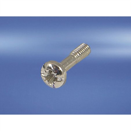 SCHROFF VIS A GORGE CRUCIFORME M2,5x11 PAR 100