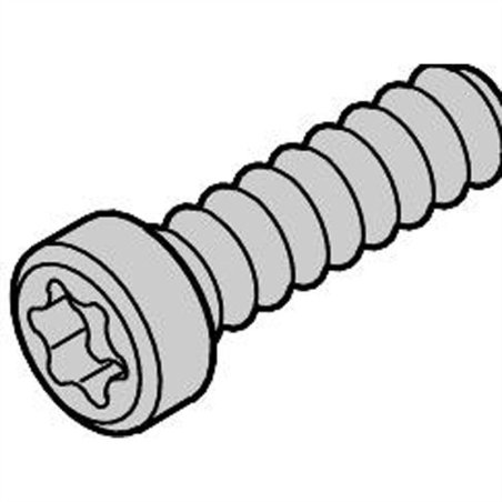 Vis Torx, M2.5x10mm, x100 24560-179