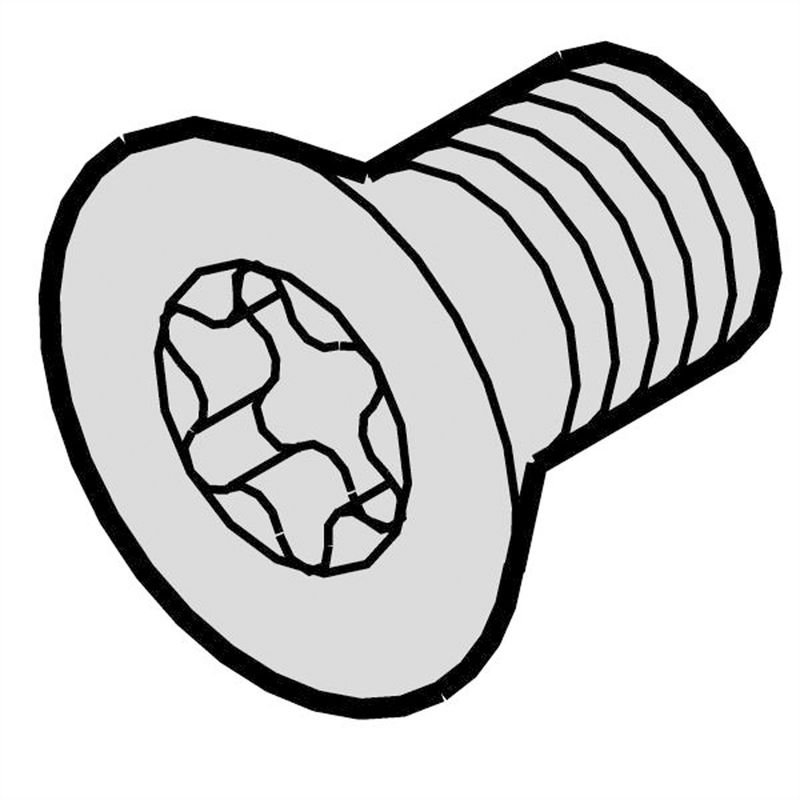 Vis Torx M5x12mm, acier, zingué, x100 24560-183