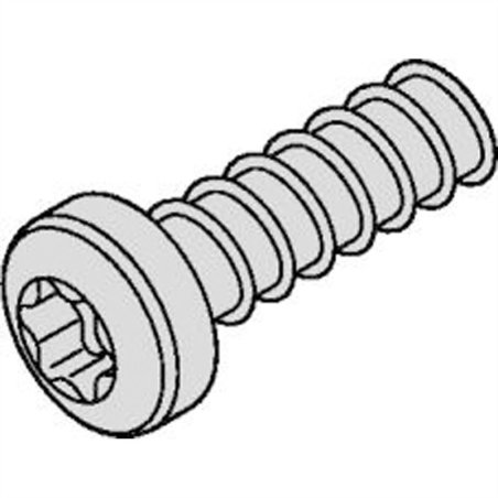 Vis Torx, M2.5x7.3mm, x100 24560-157