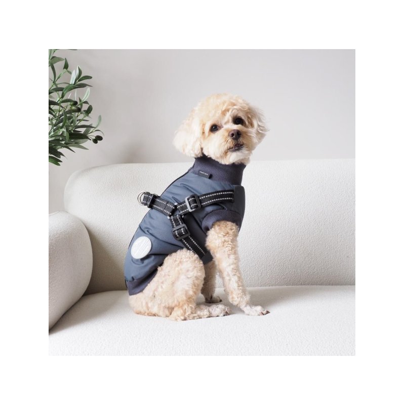 Nordic paws - Dogcoat Thor with harness 30cm - Anthracite - XS