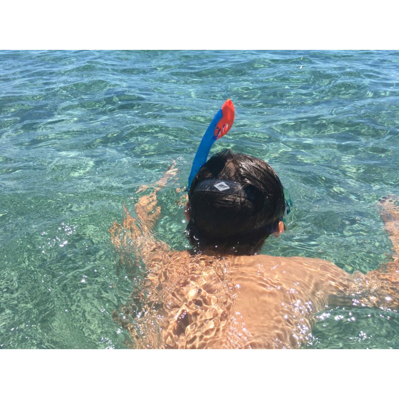 Schildkröt Funsports Barbados