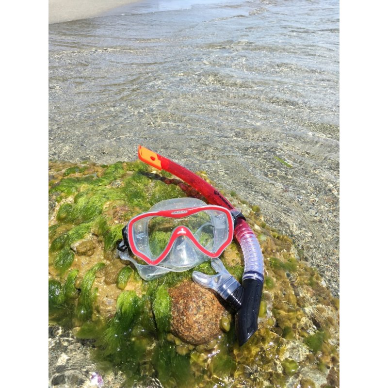 Schildkröt Funsports 940012 masque de plongée Noir, Rouge, Transparent Adulte