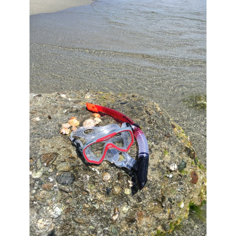 Schildkröt Funsports 940012 masque de plongée Noir, Rouge, Transparent Adulte