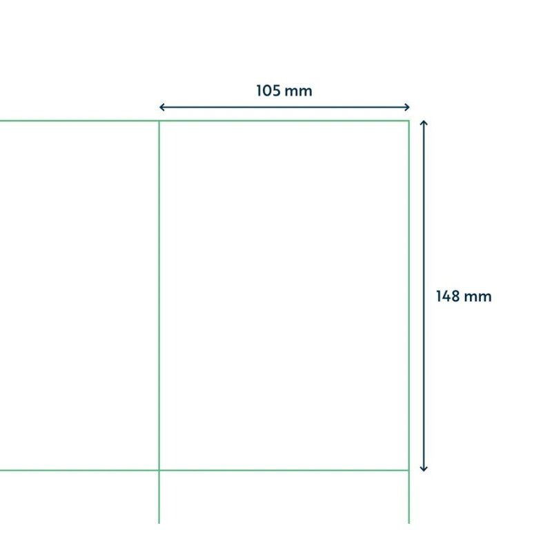 Capture A4LABEL-105X148 printer label