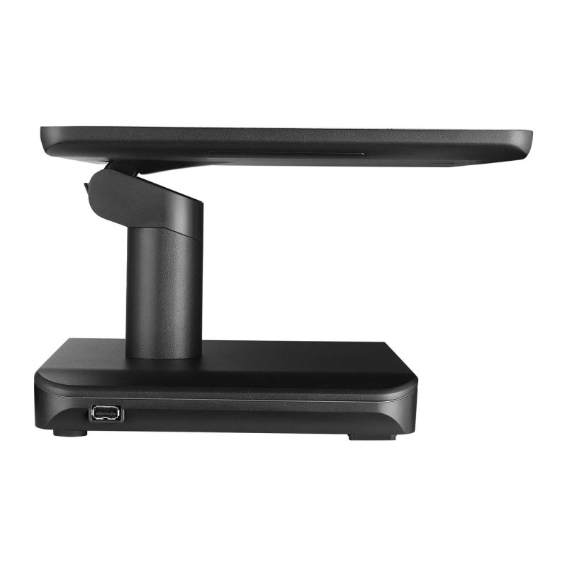 Lionfish 15.6" POS System -