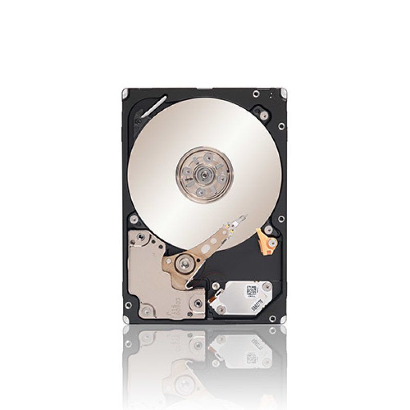 Seagate Savvio 300GB SAS disque dur 300 Go 10000 tr/min 64 Mo 2.5"