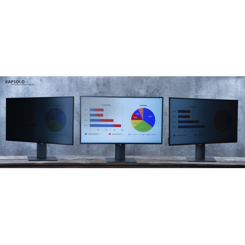 KAPSOLO Écran de confidentialité insérable à 2 angles pour 71,1cm (28") Wide 16:10