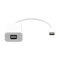 USB-C to Mini DP 20cm white