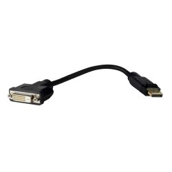 Pro Displayport DP-DVI 24 1,
