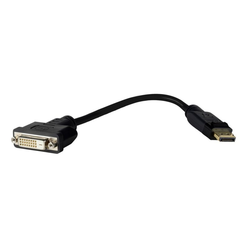 Pro Displayport DP-DVI 24 1,