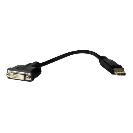 Pro Displayport DP-DVI 24 1,
