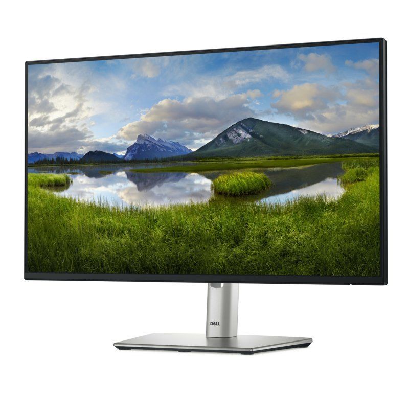 DELL P Series P2425H écran plat de PC 60,5 cm (23.8") 1920 x 1080 pixels Full HD LCD Noir
