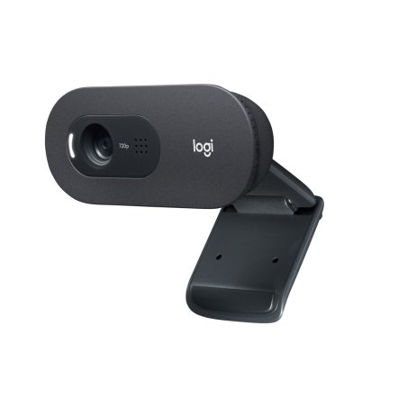 Logitech C505 HD webcam 1280 x 720 pixels USB Noir