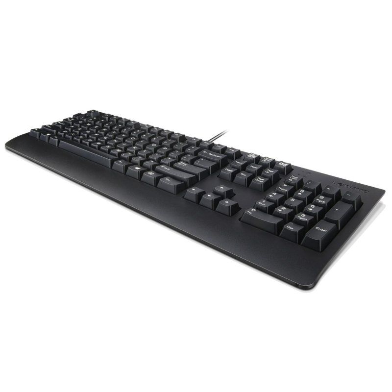 Lenovo Preferred Pro II clavier Universel USB QWERTY Néerlandais Noir