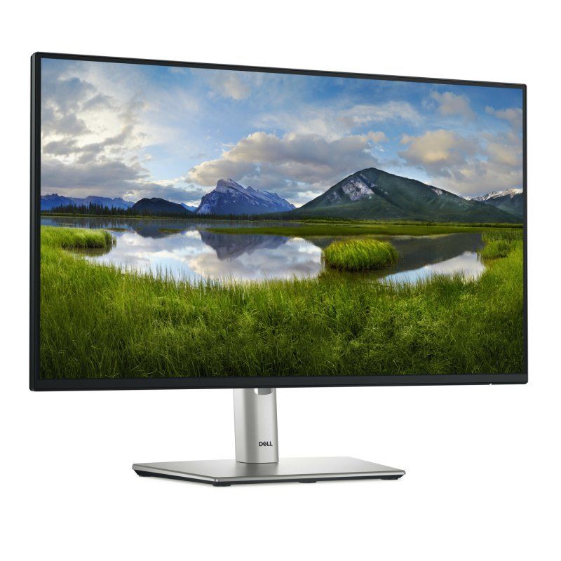 Dell/P2425HE/23,8/IPS/FHD/100H