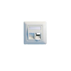Wall plate, angled, double