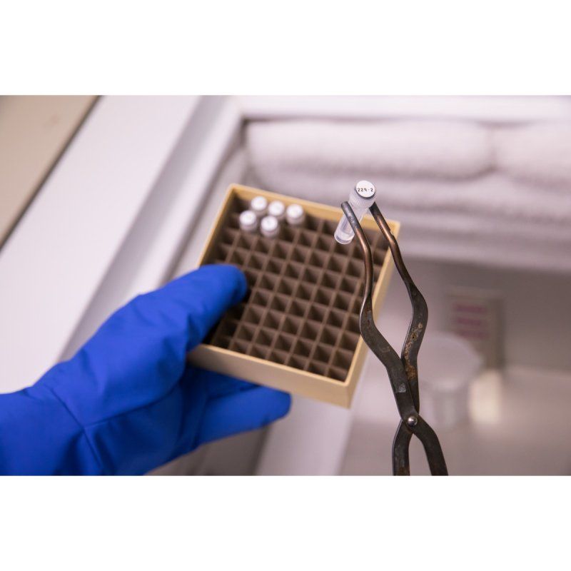 BMP41/BMP51/BMP53/M511