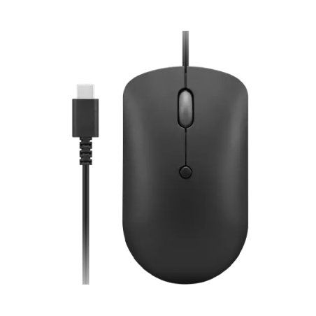 STOCKINK5 - Lenovo GY51D20875 souris Bureau Ambidextre USB Type-C Optique 2400 DPI