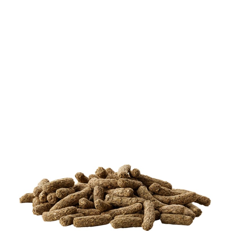 VERSELE LAGA Complete Cavia - Guinea pig food - 8 kg