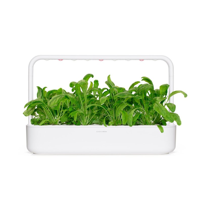 Click & Grow MIBUNA PLANT PODS