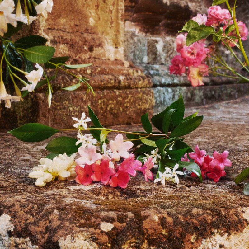 Gucci Bloom Eau De Toilette 100 ml