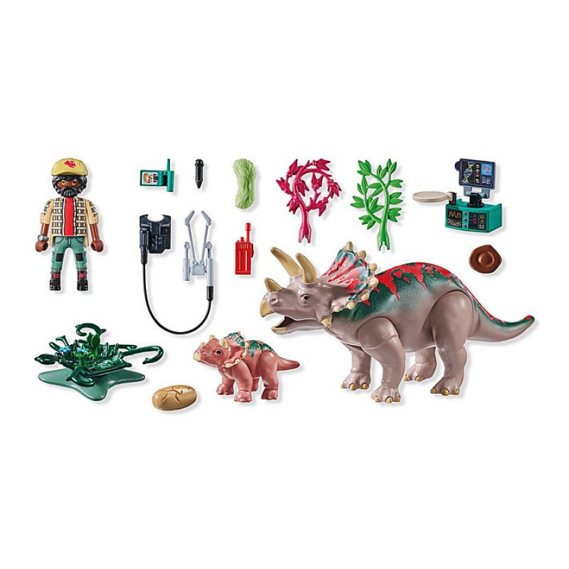 Playmobil Dinos 71821 jouet