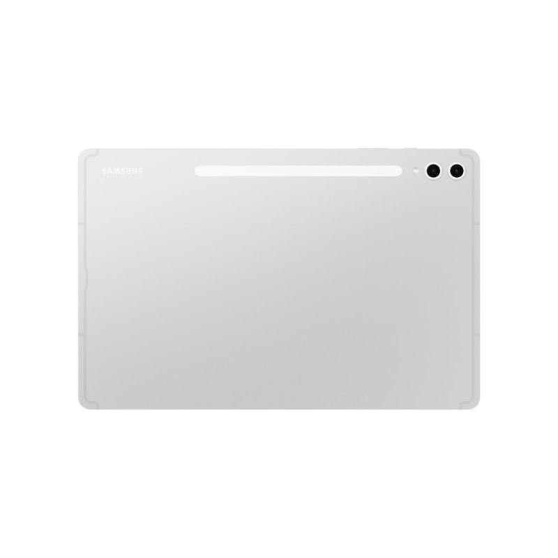 Galaxy Tab S10 256GB (silber, Android 14, 5G)
