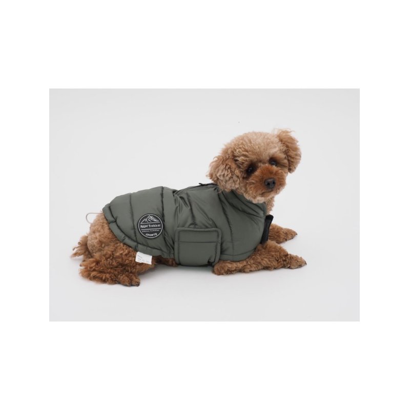 Nordic paws - Dog Raincoat Albert - Green - S 35cm