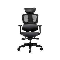 Fauteuil ergonomique Cougar Argo One (Noir)