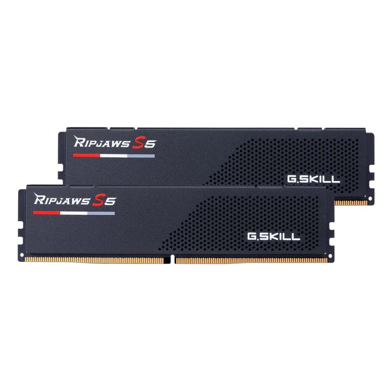 G.Skill F5-6000J3036F24GX2-RS5K memory module 48 GB