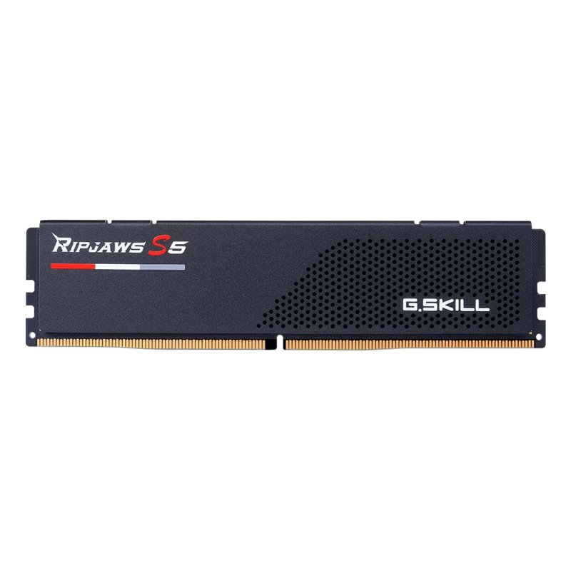 G.Skill F5-6000J3036F24GX2-RS5K memory module 48 GB