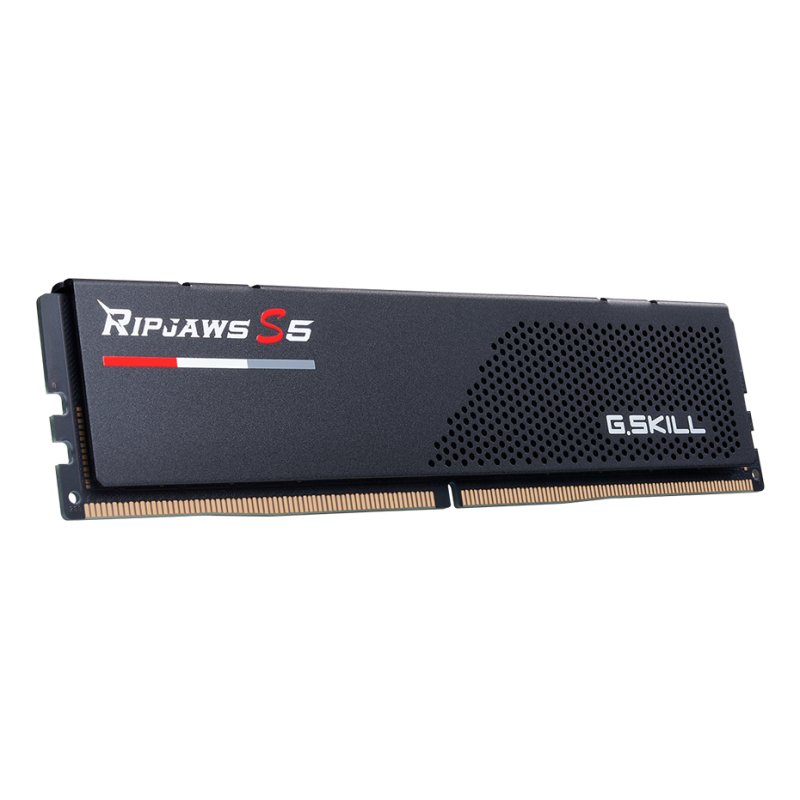 G.Skill F5-6000J3036F24GX2-RS5K memory module 48 GB