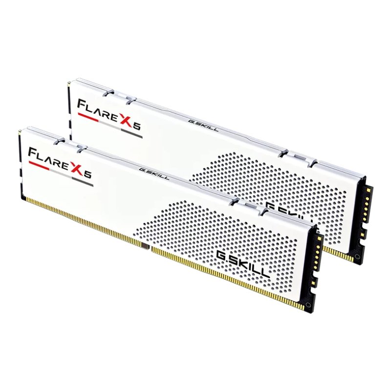 DIMM 48 GB DDR5-6000 (2x 24 GB) Dual-Kit (F5-6000J3036F24GX2-FX5W, Flare X5, AMD EXPO)