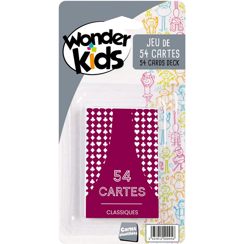 ETUI 54 CARTES PLASTIFIEES AS2
