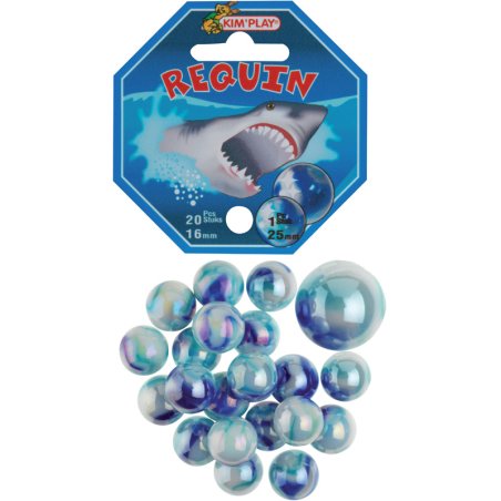 20 BILLES+1 CALOT REQUIN