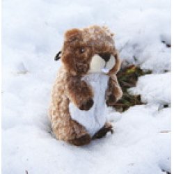 PEL 18CM MARMOTTE SIFFLEMENT